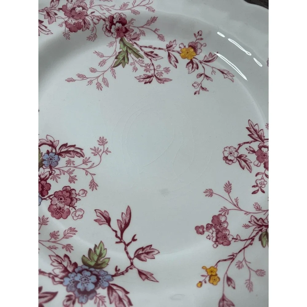 Lot 6 Ridgway English Garden Ironstone Dinner Plates Discontinued Rare‎ English